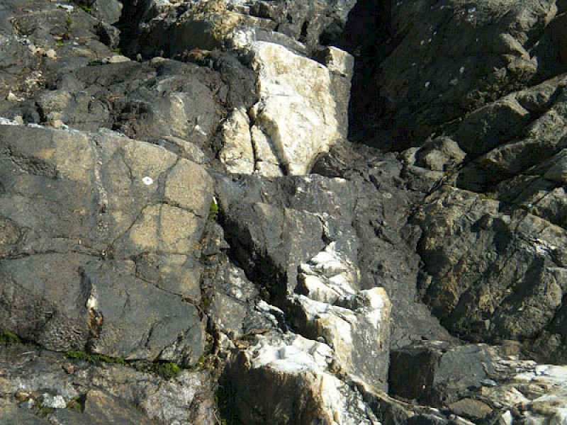 Surface quartz veining at Ridge vein