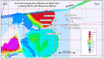 2020 New Amalga Gold Project Drilling.  Longitudinal and Vertical Cross Sections